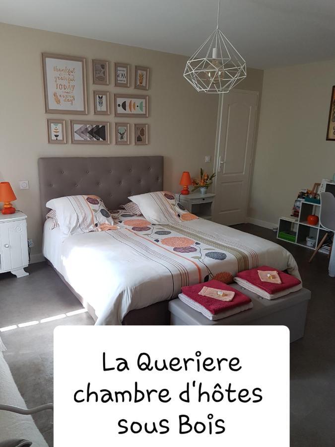 Chambres D'Hotes La Queriere Mur-de-Sologne Εξωτερικό φωτογραφία
